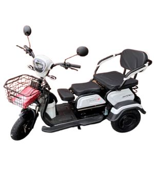 Электрический трицикл SHTENLI Model 30 12Ач48В (аккумулятор 4шт)