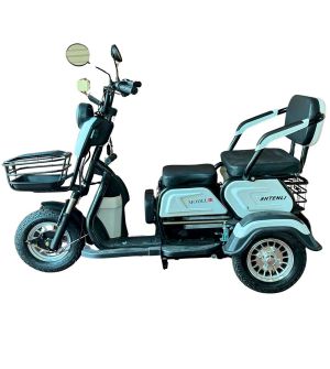 Электрический трицикл SHTENLI Model 31