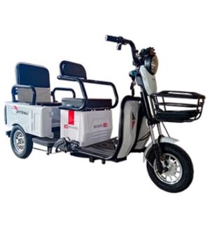 Электрический трицикл SHTENLI Model 34 (2 в 1)
