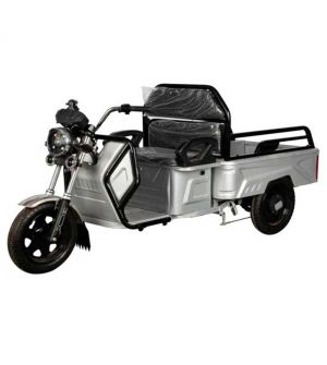 Электрический трицикл SHTENLI Model 90