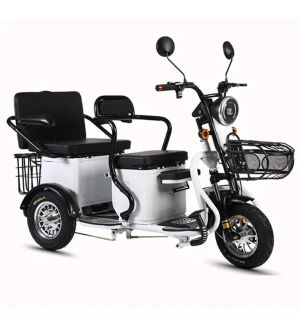 Электрический трицикл SHTENLI Model XL 40